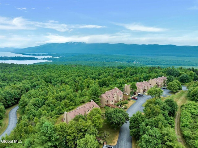 441 Lockhart Mountain Rd Unit 60, Queensbury, NY 12845 - photo 46