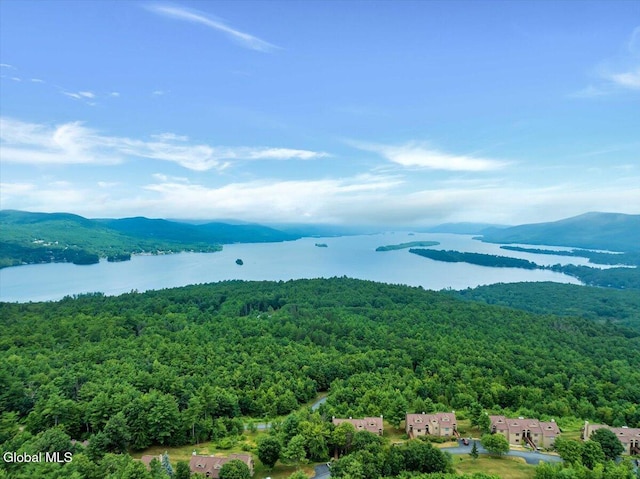 441 Lockhart Mountain Rd Unit 60, Queensbury, NY 12845 - photo 39