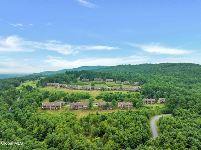 441 Lockhart Mountain Rd Unit 60, Queensbury, NY 12845 - photo 50