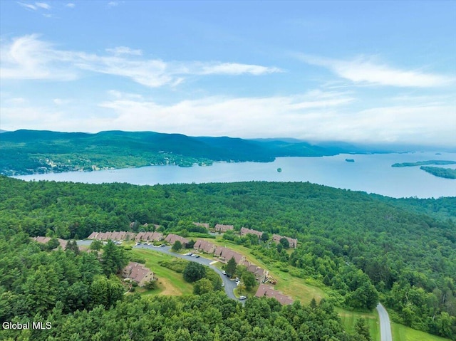 441 Lockhart Mountain Rd Unit 60, Queensbury, NY 12845 - photo 2