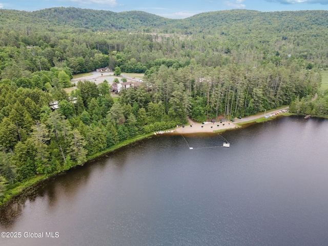 5 Overlook Ln B/D, Unit B/D Warrensburg, NY 12817 - drone / aerial view of a water and mountain view
