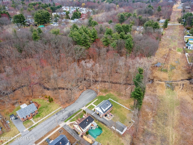 drone / aerial view