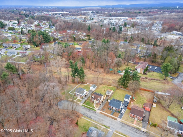 bird's eye view