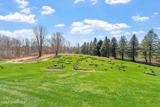 view of yard featuring a rural view