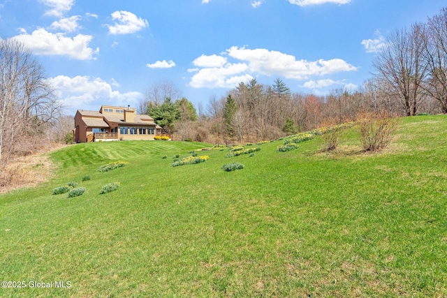 view of yard with a rural view