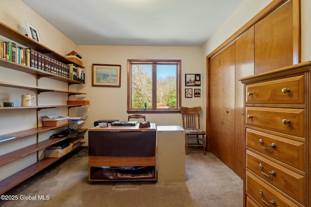 home office with carpet
