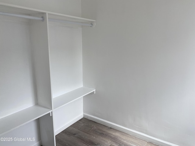 spacious closet with dark wood-style floors