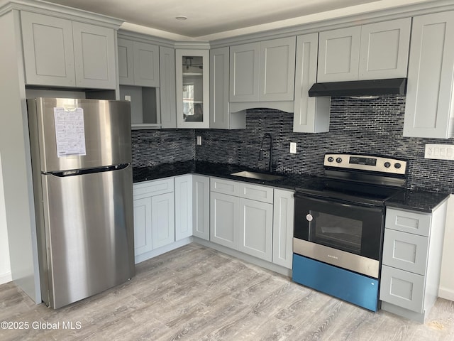 kitchen featuring under cabinet range hood, a sink, stainless steel appliances, and light wood-style floors