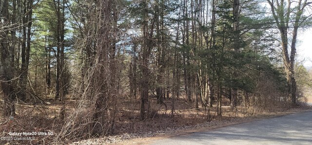 1698 Sleepy Hollow Rd Unit A, Coxsackie, NY 12015 - photo 7