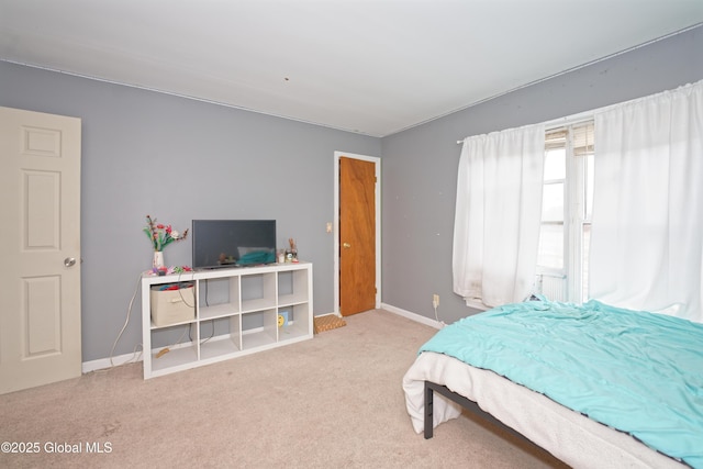 18 Molly White Dr, Coxsackie, NY 12051 - carpeted bedroom featuring baseboards