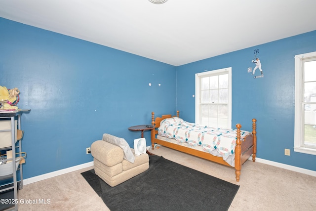 18 Molly White Dr, Coxsackie, NY 12051 - bedroom featuring carpet flooring and baseboards