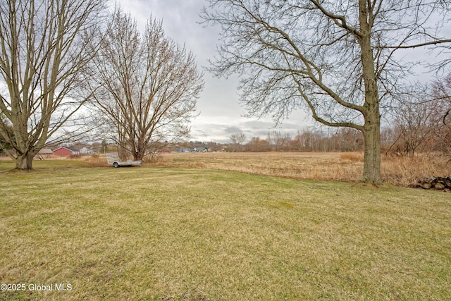 18 Molly White Dr, Coxsackie, NY 12051 - view of yard