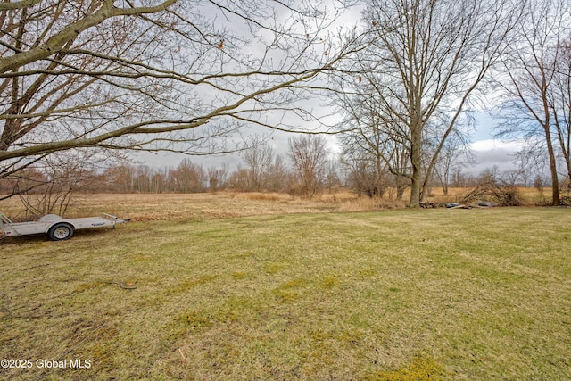 18 Molly White Dr, Coxsackie, NY 12051 - view of yard