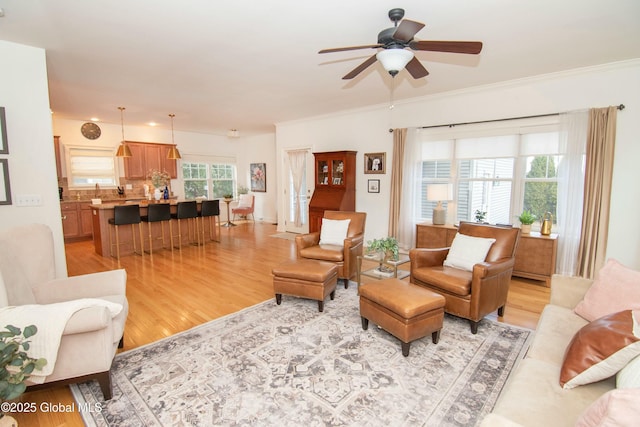 living area featuring a ceiling fan, crown molding, and light wood-type flooring