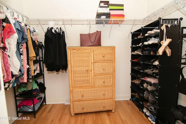 walk in closet featuring wood finished floors