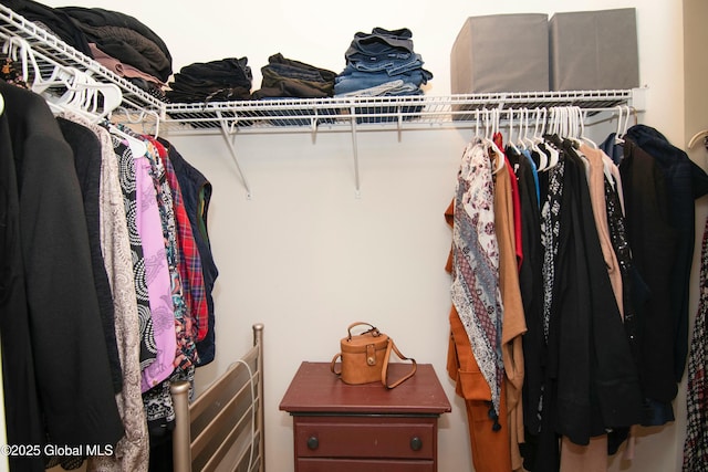 view of walk in closet