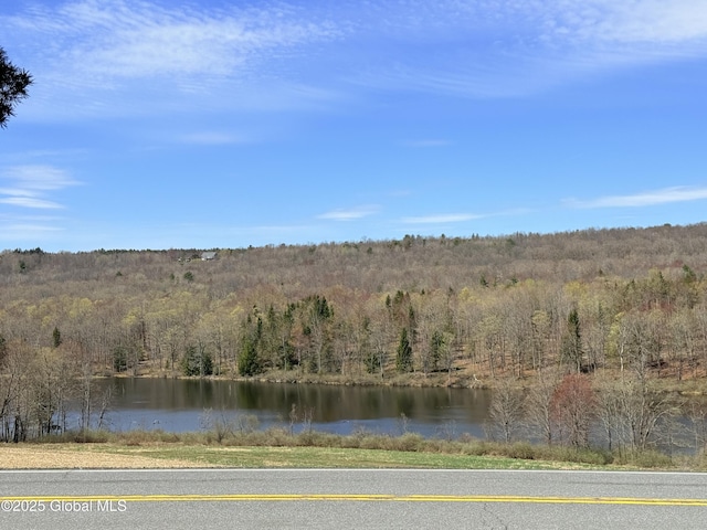 view of water feature featuring a wooded view