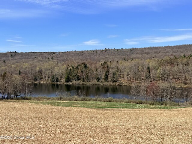 view of water feature with a view of trees