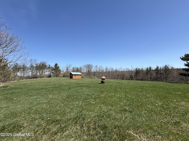 view of yard with an outbuilding and a shed