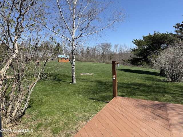 view of yard featuring a deck
