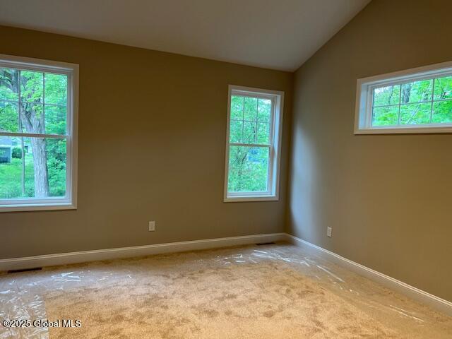 16 Morgan St, Saratoga Springs, NY 12866 - photo 12