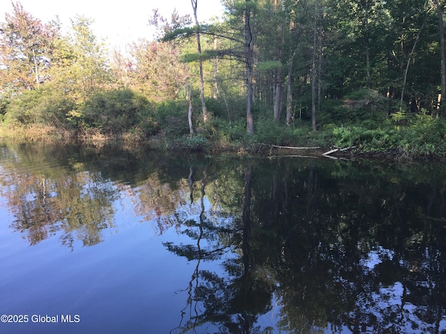 property view of water featuring a view of trees