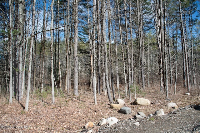 view of local wilderness with a view of trees