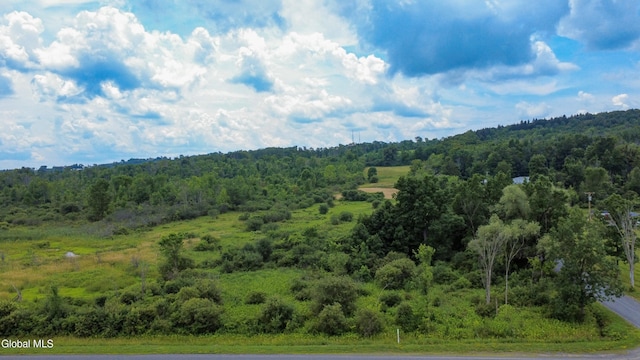 L7 Mapletown Rd, Canajoharie, NY 13317 - photo 5