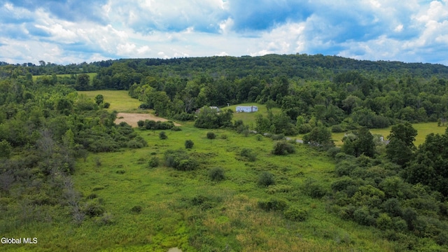 L7 Mapletown Rd, Canajoharie, NY 13317 - photo 8