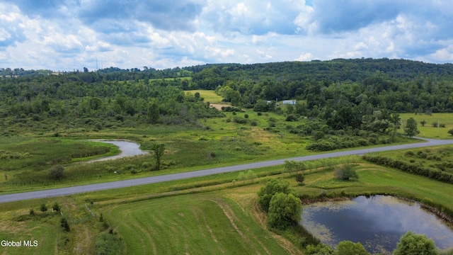 L7 Mapletown Rd, Canajoharie, NY 13317 - photo 3