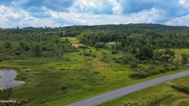 L7 Mapletown Rd, Canajoharie, NY 13317 - photo 9