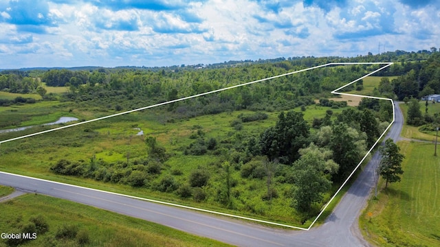 L7 Mapletown Rd, Canajoharie, NY 13317 - photo 2