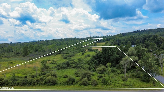 L7 Mapletown Rd, Canajoharie, NY 13317 - photo 6