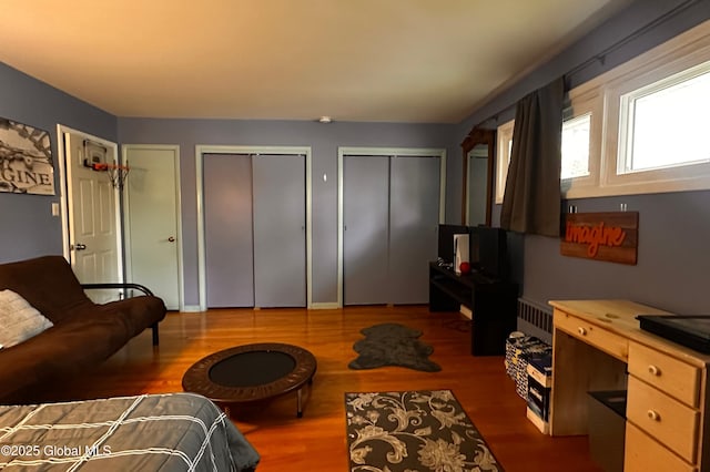 living room featuring radiator and wood finished floors