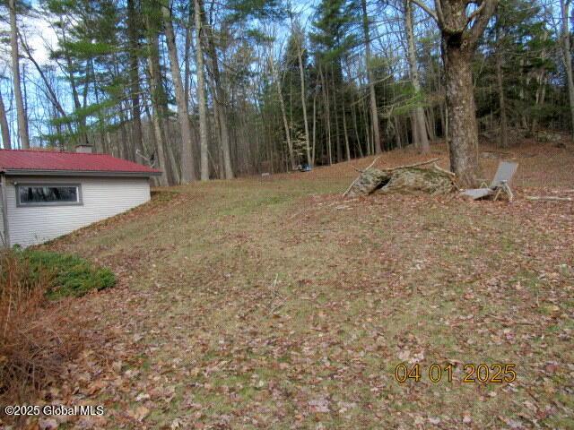 545 Stage Rd, Cambridge, NY 12028 - view of yard