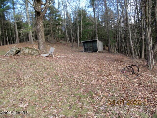 545 Stage Rd, Cambridge, NY 12028 - view of yard featuring an outdoor structure and a storage shed