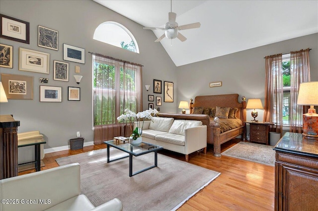 101 E Krumkill Rd, Albany, NY 12208 - bedroom featuring high vaulted ceiling, multiple windows, and light wood-style floors