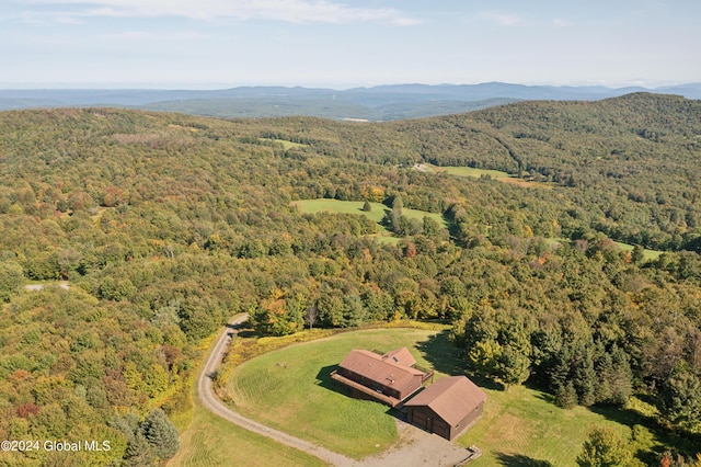 187 Mt Jefferson Rd, Jefferson, NY 12167 - photo 21