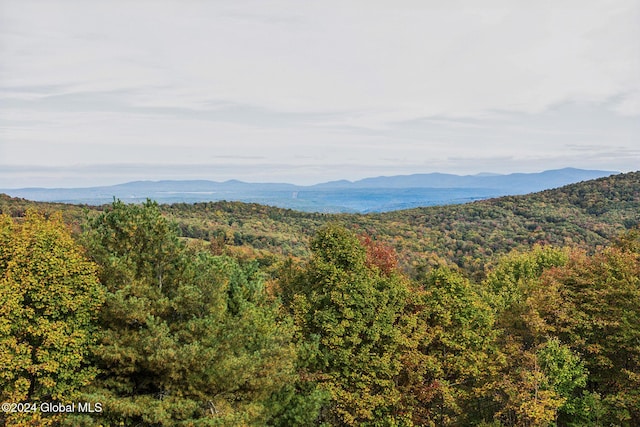 187 Mt Jefferson Rd, Jefferson, NY 12167 - photo 27