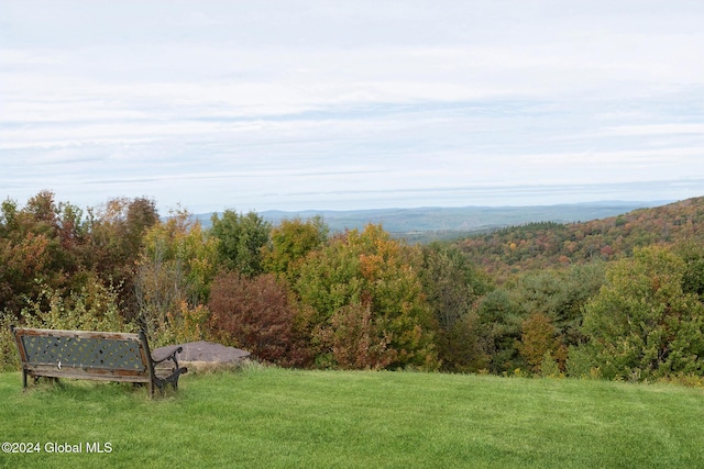 187 Mt Jefferson Rd, Jefferson, NY 12167 - photo 28