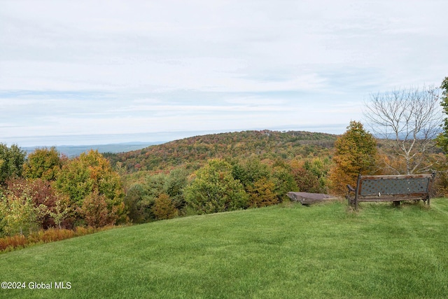 187 Mt Jefferson Rd, Jefferson, NY 12167 - photo 29