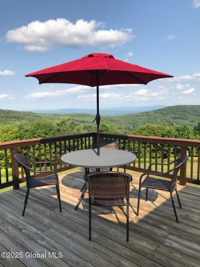 187 Mt Jefferson Rd, Jefferson, NY 12167 - photo 22