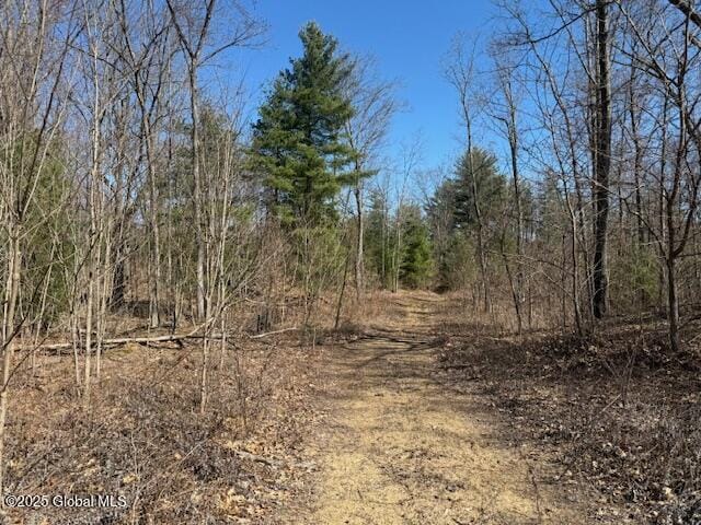 69 Plant, Halfmoon NY, 12065 land for sale