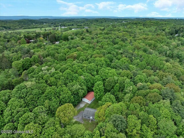 3766 Ny-43, Sand Lake, NY 12196 - photo 40