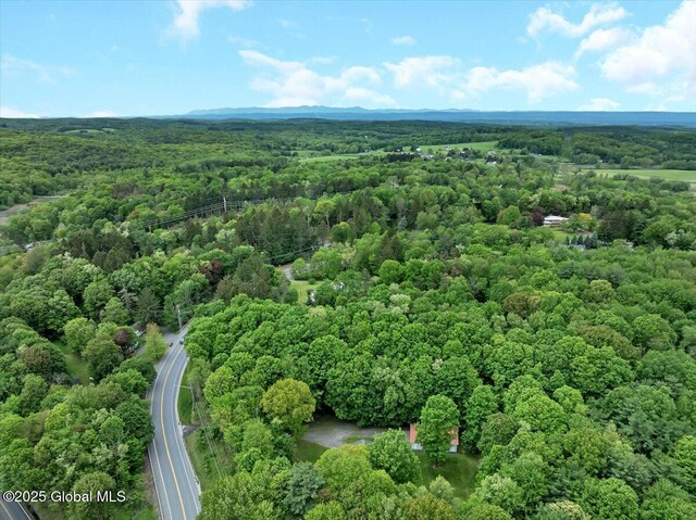 3766 Ny-43, Sand Lake, NY 12196 - photo 41