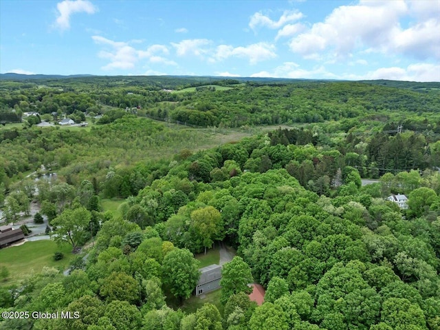 3766 Ny-43, Sand Lake, NY 12196 - photo 42