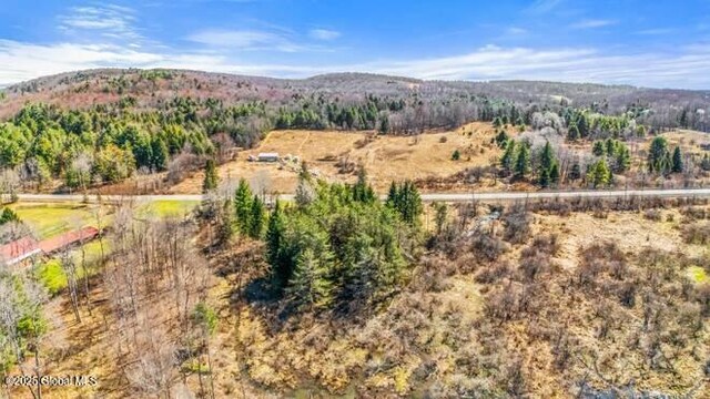 1776 County Rd 17, Oxford, NY 13830 - photo 8