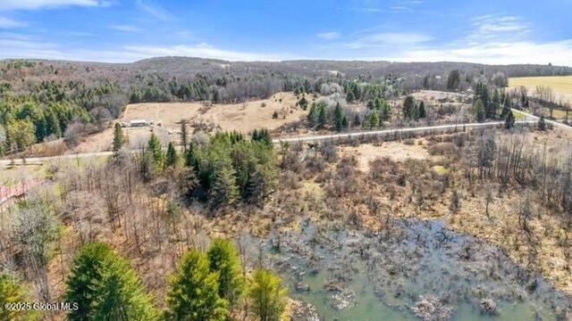 1776 County Rd 17, Oxford, NY 13830 - photo 9