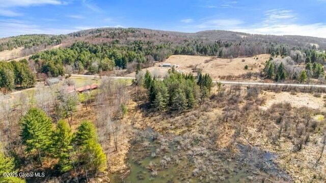 1776 County Rd 17, Oxford, NY 13830 - photo 10