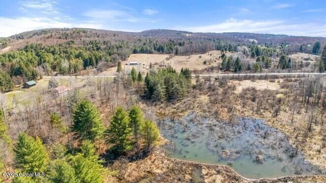 1776 County Rd 17, Oxford, NY 13830 - photo 11